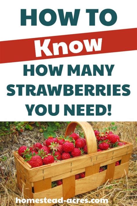 How much is 1 quart of strawberries. Things To Know About How much is 1 quart of strawberries. 